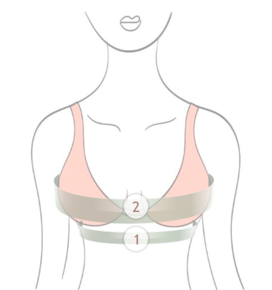 Calcular talla sujetador chantelle hotsell